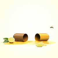 Spices