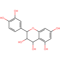 Leucocyanidin