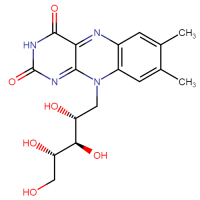 Vitamin B2