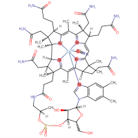 Vitamin B12