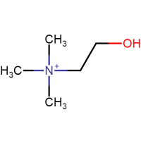 Choline