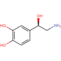Norepinephrine