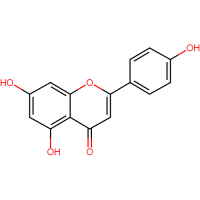 Apigenin
