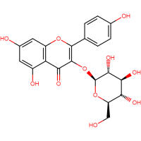 Astragalin