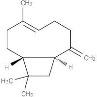 beta-Caryophyllene