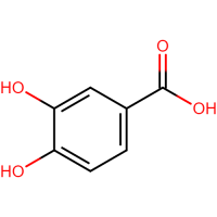 Protocatechuic acid
