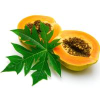 Papaya
