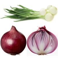 Onion
