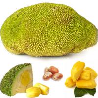 Jackfruit