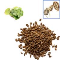 Ajwain