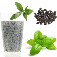 Sweet Basil