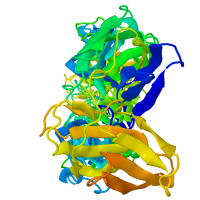 Dengue 2 Virus Envelope Protein