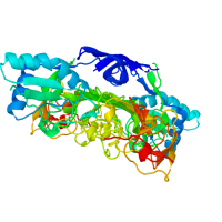 Dengue Type 2 Virus Non-structural Protein 1 (NS1)