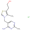 pdtdbl00008